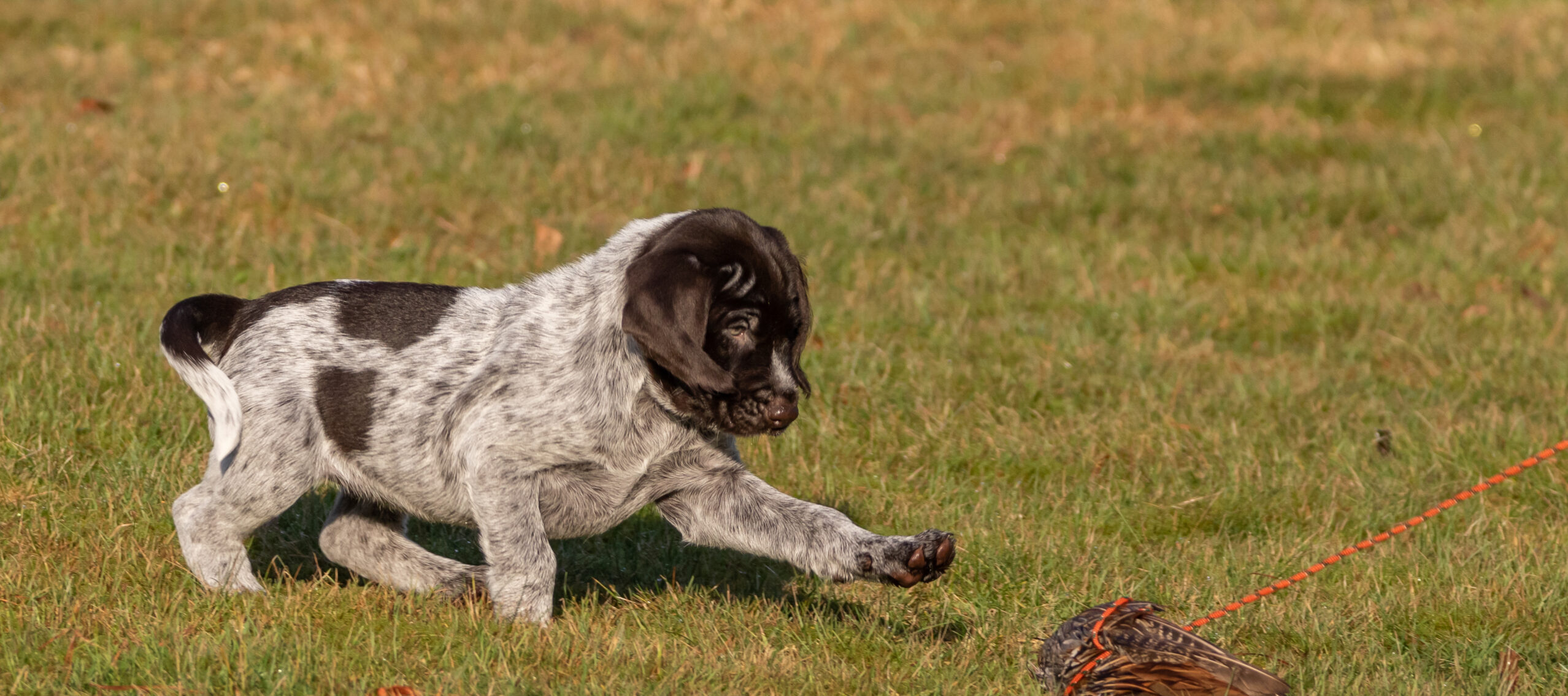 test agenda 3rd item