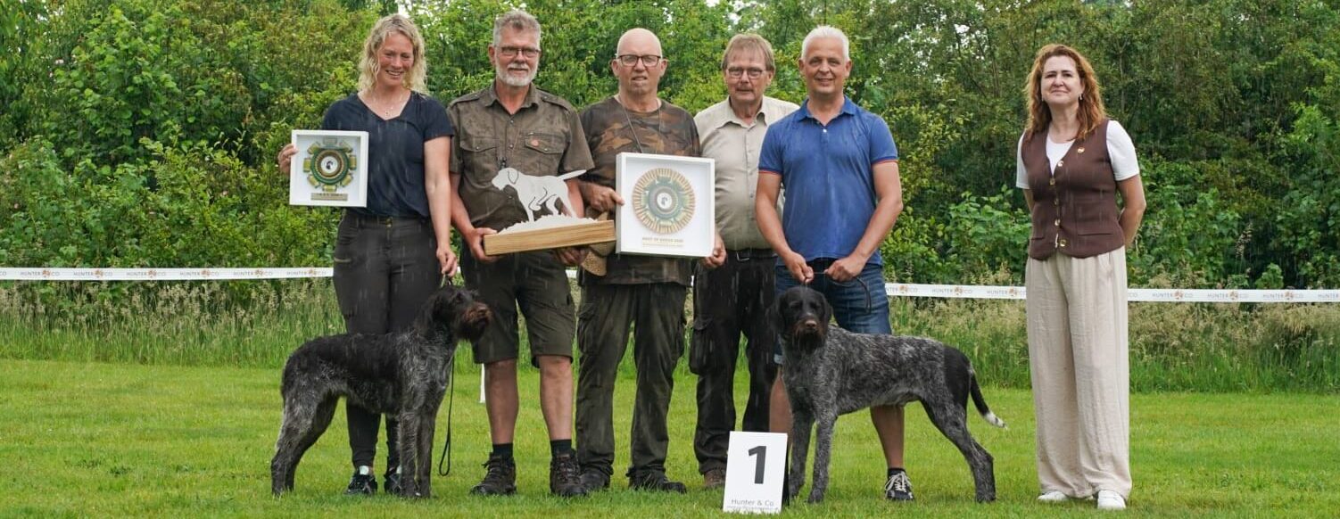 Draadhaardag 2027 / KCM / Jonge hondendag
